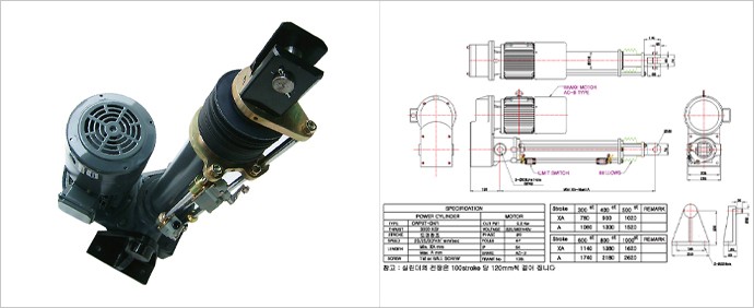 CWP3T